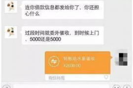 神农架为什么选择专业追讨公司来处理您的债务纠纷？